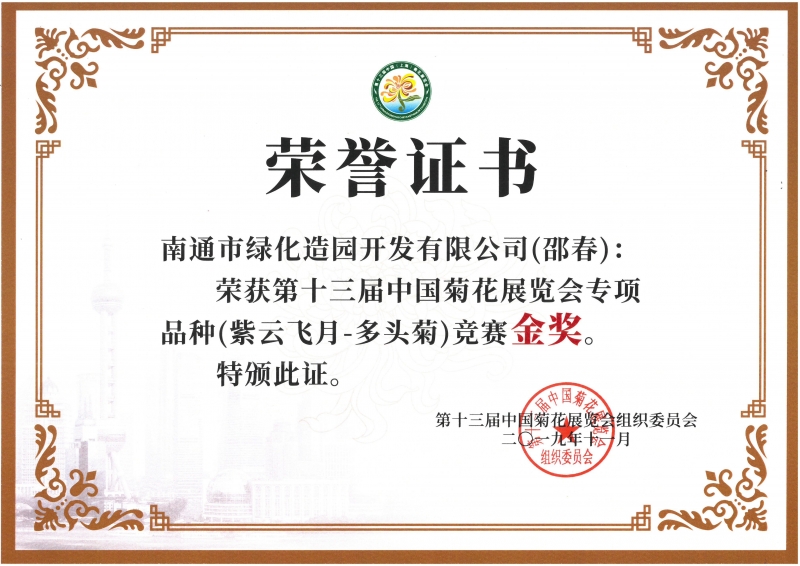 十三屆中國菊花展覽會專項品種（紫云飛月-多頭菊）競賽金獎（邵春）
